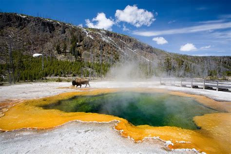 Must Visit Yellowstone National Park Once In Lifetime