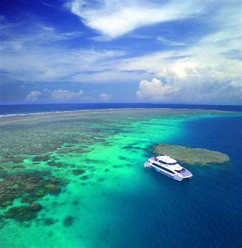 Port Douglas Snorkel & Dive Tour | Great Barrier Reef Tours