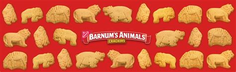 Amazon.com: Barnum's Original Animal Crackers, 12 - 2.13 oz Boxes : Books