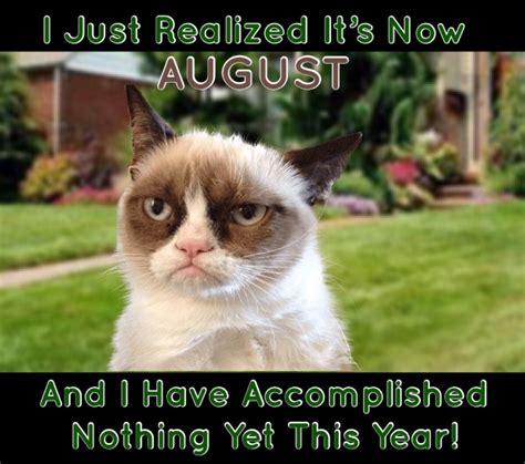 Grumpy Cat: It’s Already August And I Have Accomplished Nothing Yet ...