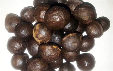 African Walnut Health Benefits: Here's Why You Should Eat These