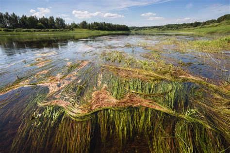 Top 60 Daugava River Stock Photos, Pictures, and Images - iStock