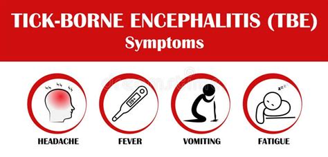 Tick-borne Encephalitis Symptoms, Flat Style Vector Illustration Isolated on White Background ...