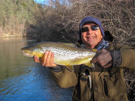 Trinity River Fishing - Steelhead Salmon - Mike Hibbard Fly Fishing