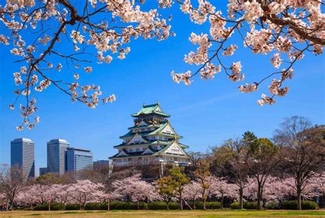 Osaka Castle - GaijinPot Travel