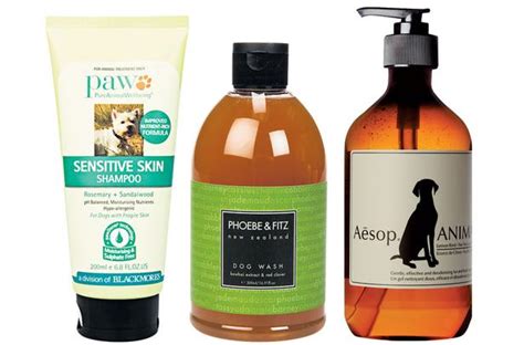 The Best Dog Care Products - Viva