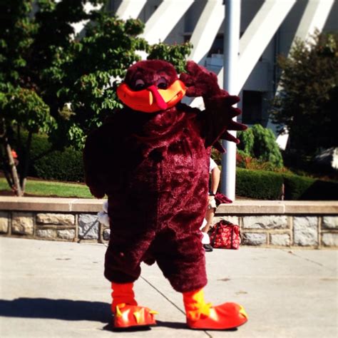 a person in a turkey costume walking down the street