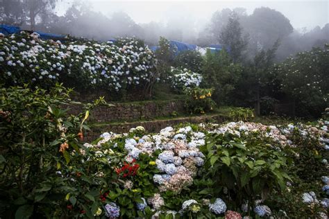 Kodaikanal in Images - Rathina's View Space