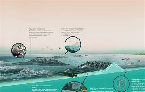 Living Breakwaters: Design and Implementation - SCAPE