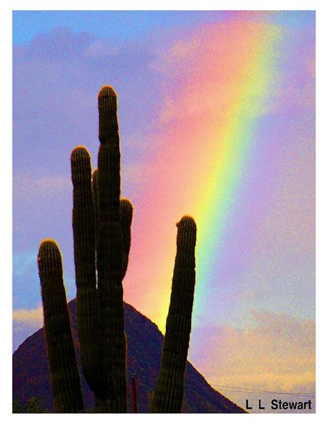 Gavilan Peak Rainbow Photograph by L L Stewart - Fine Art America