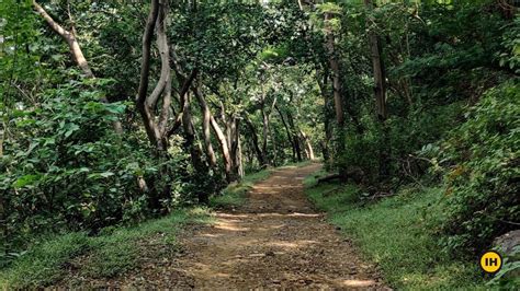 Songadh Fort Trek