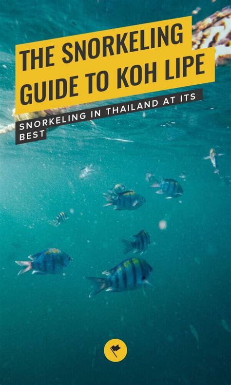 A Backpacking Guide to Snorkeling in Koh Lipe - Snorkeling in Thailand ...