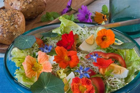 Natures Garnish: Edible Flowers • Adopted Tomato Garden