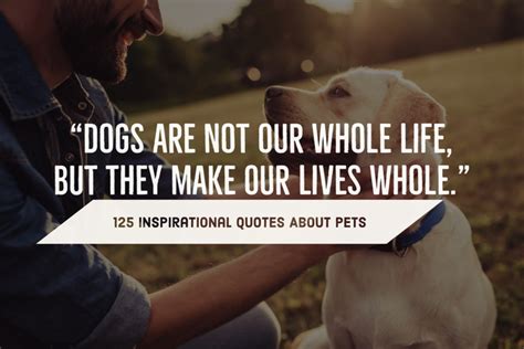 125 Inspirational Quotes About Pets (Animal Love & Loss)