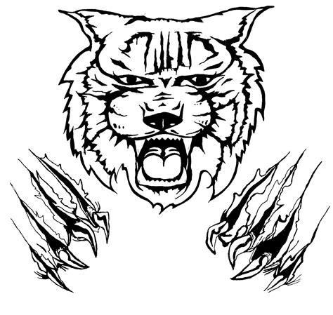 Sketch Monster: Wildcat Shirt Design!