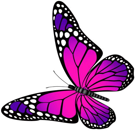 pink and purple butterfly - Clip Art Library