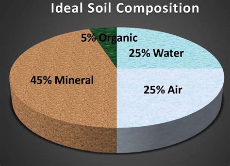 The Real Dirt about Soil - Marin Rose Society