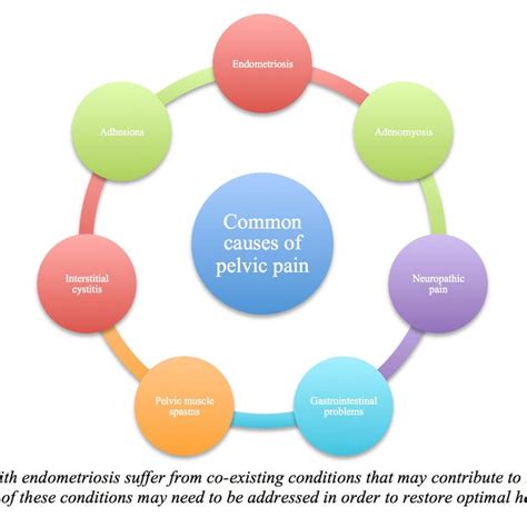 Is My Pelvic Pain Endometriosis | Vital Health Endometriosis Center