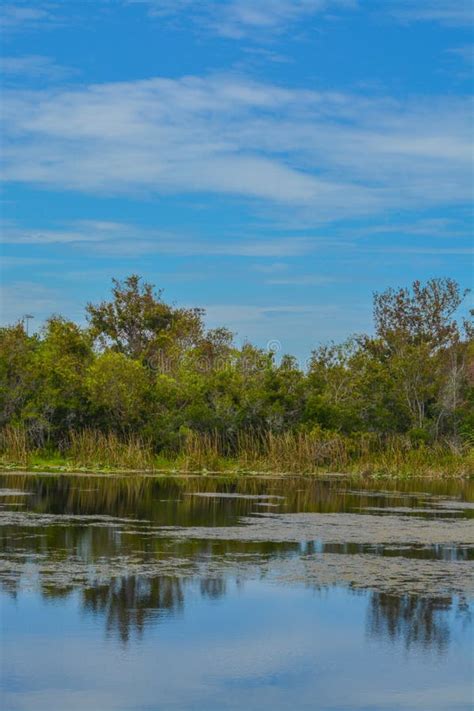 The View of Walsingham Lake at Walsingham Park Stock Photo - Image of fresh, background: 101116250