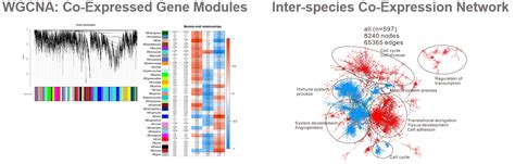 NGS Data Analysis | Crown Bioscience