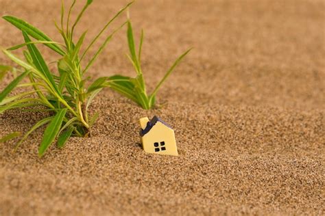 Premium Photo | Miniature toy house with green plants in the dry sand