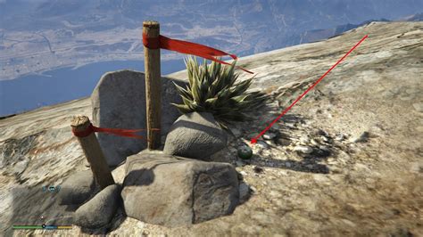 Image - Peyote Plants GTAVe 03 Mt Chiliad View.jpg | GTA Wiki | Fandom powered by Wikia