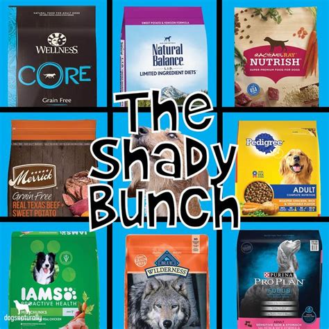 Which Kibble Brand Would You NEVER Feed Your Dog? | Raw dog food ...