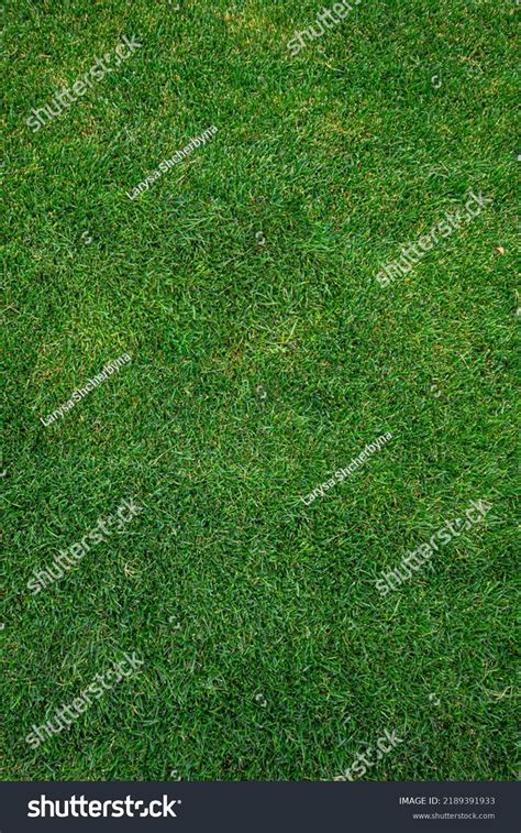 Football Field Grass Texture Stock Photo 2189391933 | Shutterstock