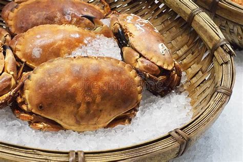 Giant Alaskan King Crab at Fish Market Stock Image - Image of fresh ...