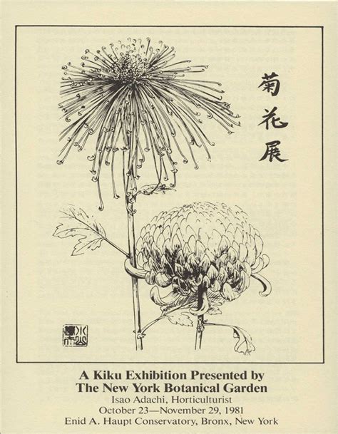 Mum's the Word: Kiku's History at NYBG | New York Botanical Garden