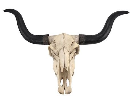 Huge Texas Longhorn Cow Skull Wall Hanging Long Horn Steer Western ...