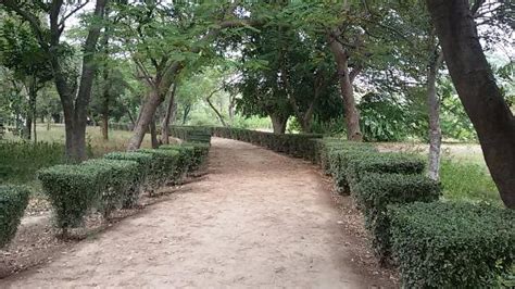 Aligarh Fort - 2020 What to Know Before You Go (with Photos) - Tripadvisor