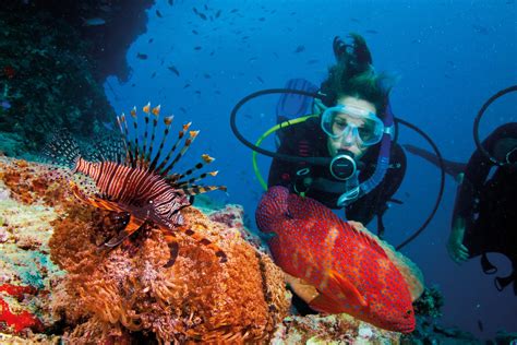 14 Top Dive Sites of Australia's Great Barrier Reef