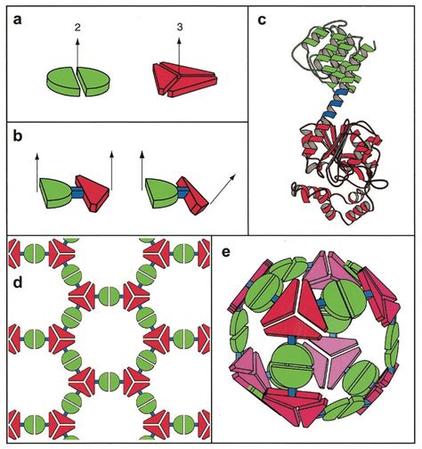 Cryo-EM | Oxford Protein Informatics Group