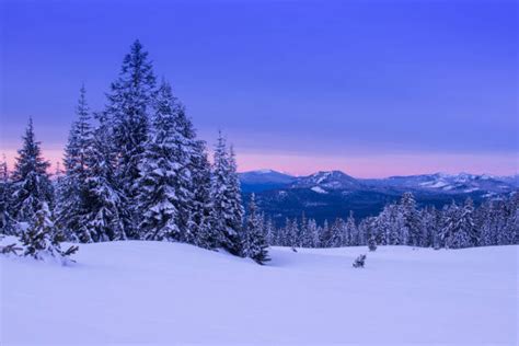 Portland Oregon Winter Stock Photos, Pictures & Royalty-Free Images ...