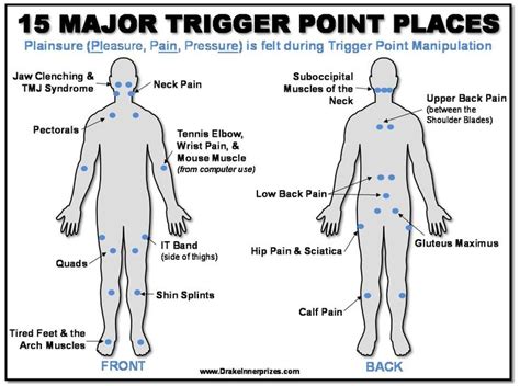 Plainsure: How to Deal with Trigger Points | Bear With Me | Trigger points, Jaw clenching ...