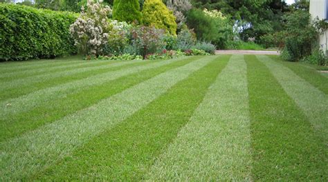 mow-grass-lawn-tips – JB Irrigation Houston Sprinkler Repair