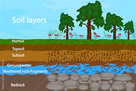 Soil layers. Diagram for layer of soil. Soil layer scheme with grass ...