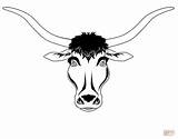 Texas Longhorn Cattle Coloring Page Sketch sketch template