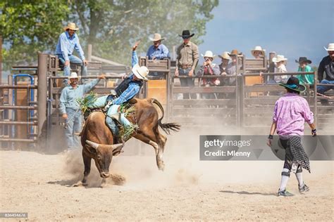 Cowboy American Bull Riding In Rodeo Arena High-Res Stock Photo - Getty Images