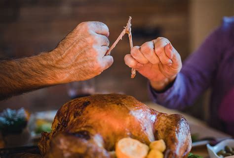 Consider the wishbone: What we can learn from a Thanksgiving turkey's bones | Salon.com