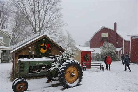 SEEN: Christmas tree shopping at Jones Family Farms - New Haven Register