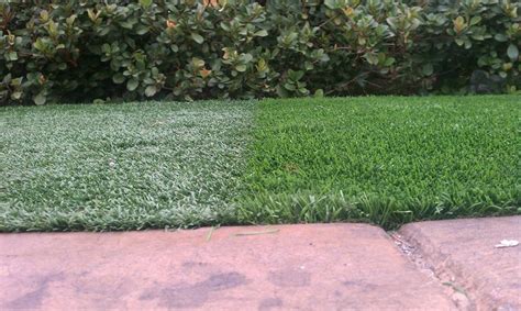 Artificial Grass Revew - comparison of 2 leading turf brands