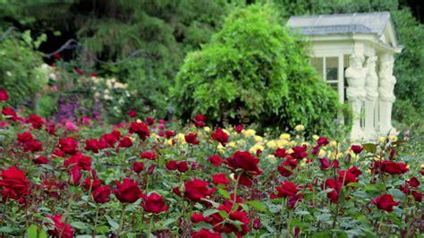 The Rose Garden: An Exhibition of British History | The Queen's Garden ...