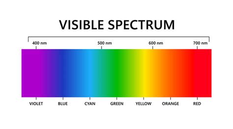 「Visible Light Spectrum」の写真素材 | 413,506件の無料イラスト画像 | Adobe Stock