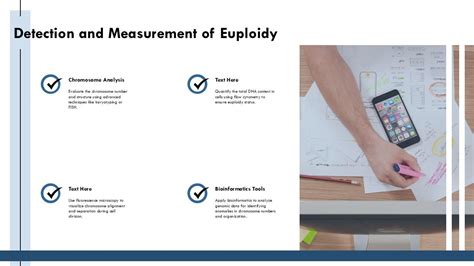 Euploidy Maintenance Normal Chromosome Number Cell PPT Sample ST AI PPT Presentation