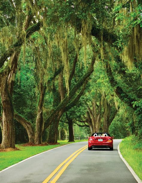 Things to Do in Tallahassee - Best Tallahassee Attractions