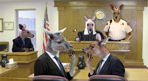 Anglicans Ablaze: Conflicts Galore on Kangaroo Court