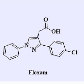 Marked drugs of pyrazole derivatives. | Download Scientific Diagram