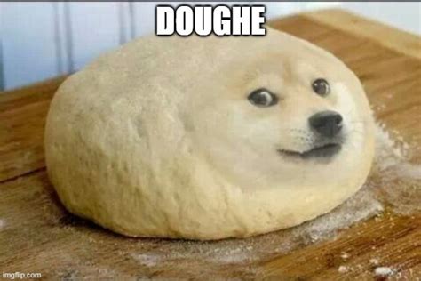 dough doge - Imgflip